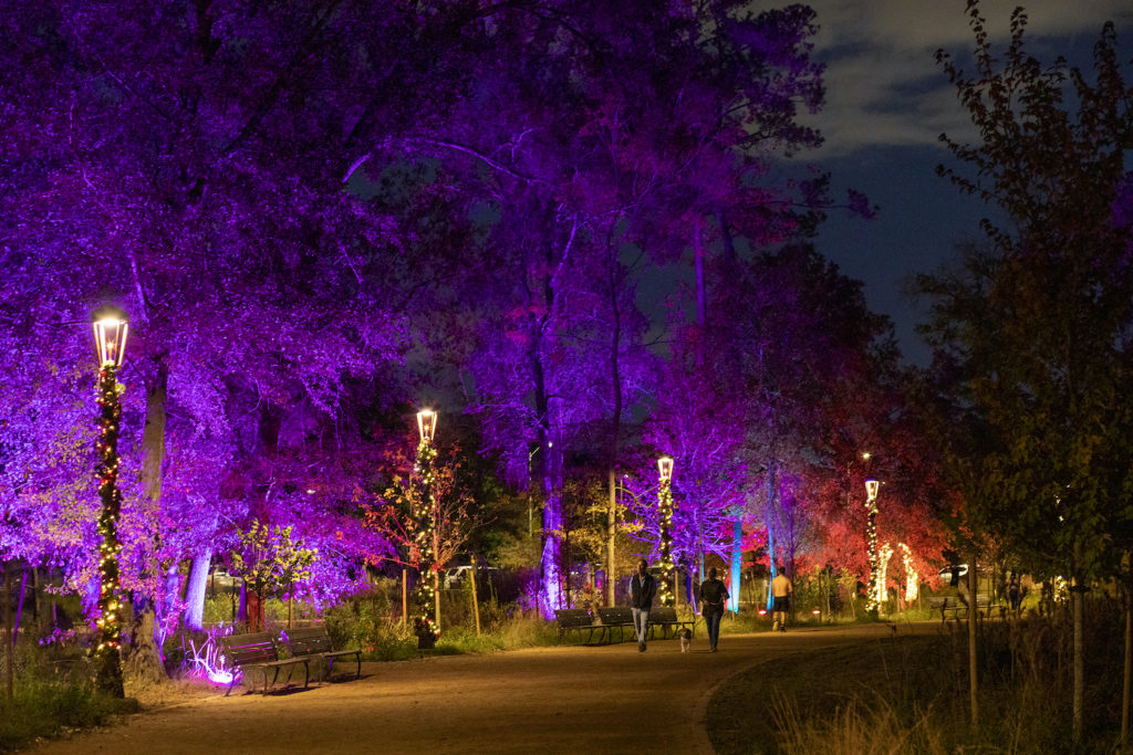 Christmas at kew opening times